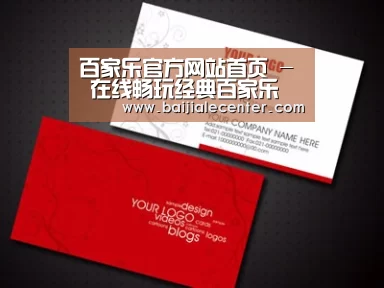 项目名称八