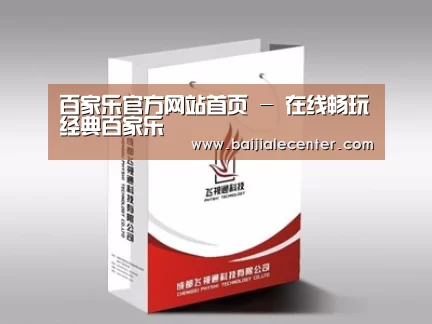 项目名称十三