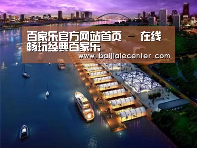案例展示八