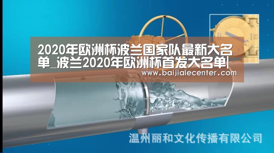 2020年欧洲杯波兰国家队最新大名单_波兰2020年欧洲杯首发大名单|百家乐在线(图1) 百家乐官网