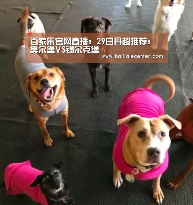 百家乐官网直播:29日丹超推荐:奥尔堡VS锡尔克堡(图3) 百家乐官网直播
