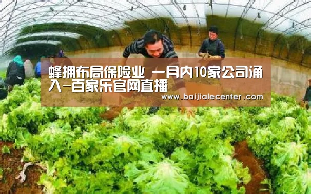 蜂拥布局保险业 一月内10家公司涌入-百家乐官网直播(图1) 百家乐官网直播